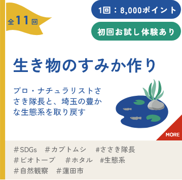 生き物のすみか作り