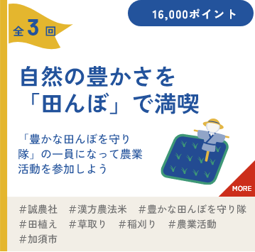 自然の豊かさを「田んぼ」で満喫