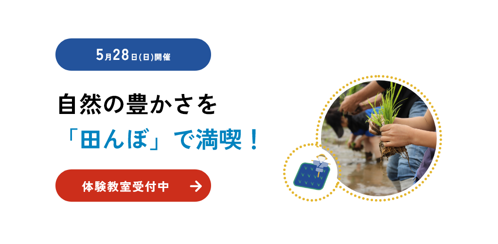 メインビジュアル