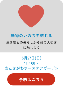 play