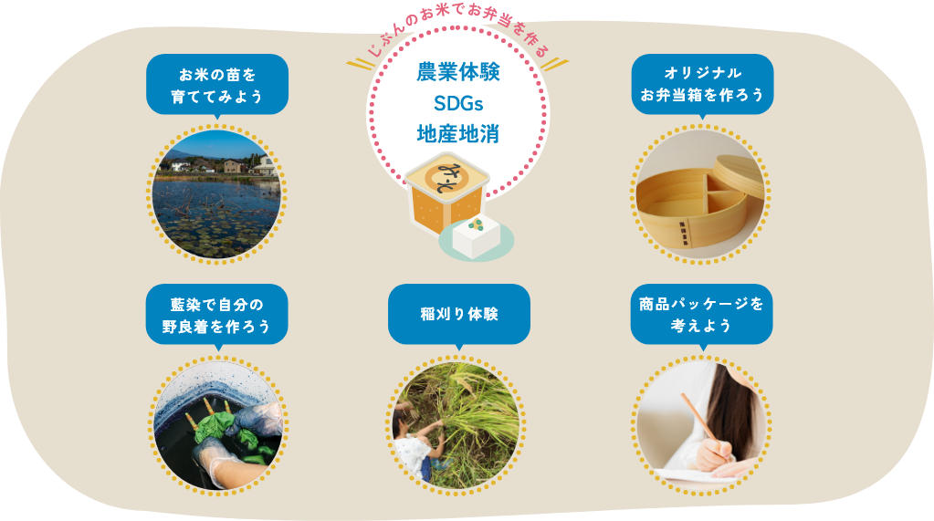 じぶんのお米で未来の「お弁当」を作る!