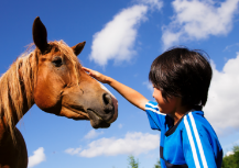 馬と向き合い、じっくりお世話をしよう